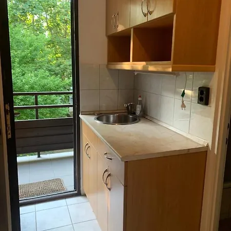 Green Holiday Apartman 公寓 巴拉顿菲赖德